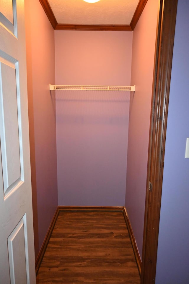 walk in closet featuring dark hardwood / wood-style flooring