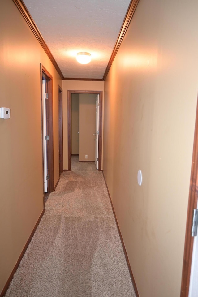 hallway with light carpet and crown molding