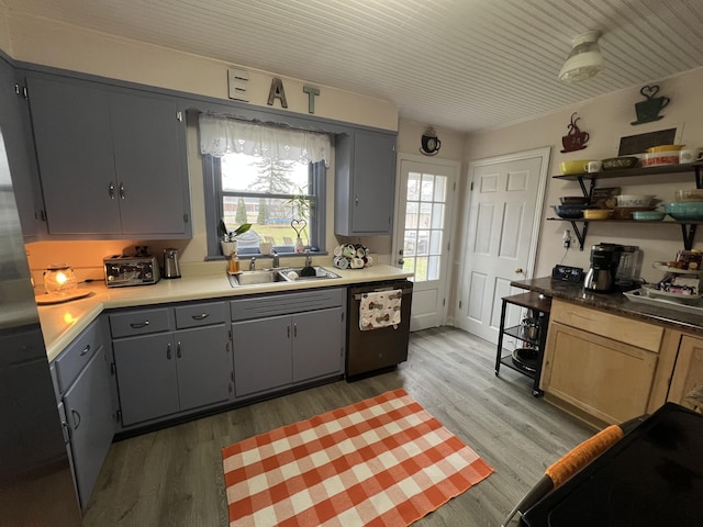 kitchen featuring sink, stainless steel dishwasher, dark hardwood / wood-style floors, and gray cabinetry