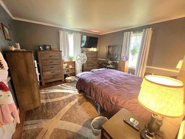 bedroom featuring crown molding and multiple windows