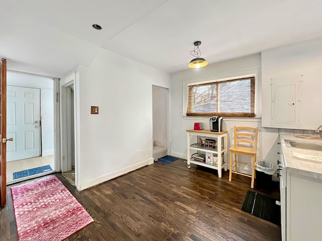 interior space with dark hardwood / wood-style flooring and sink