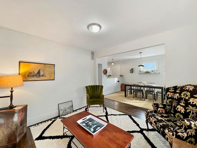 living room featuring hardwood / wood-style floors