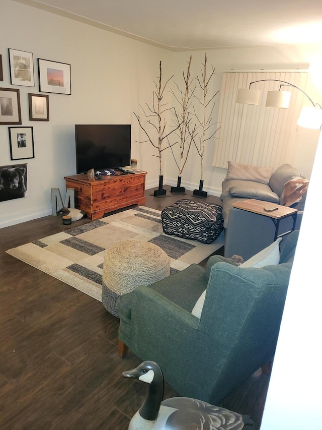 living room featuring dark wood-type flooring