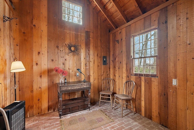 living area featuring heating unit, plenty of natural light, and wood walls