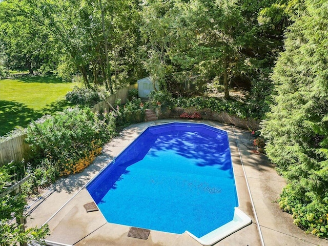 view of swimming pool featuring a storage shed and a lawn