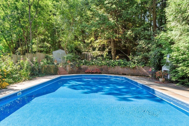 view of swimming pool with a storage shed