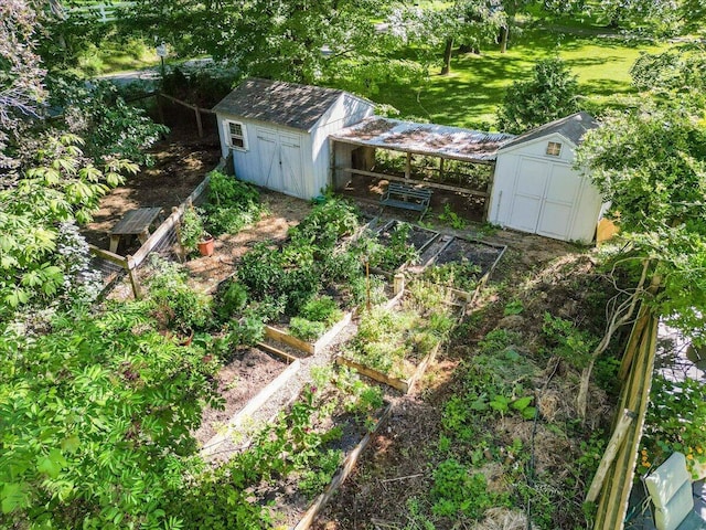 view of yard with a shed