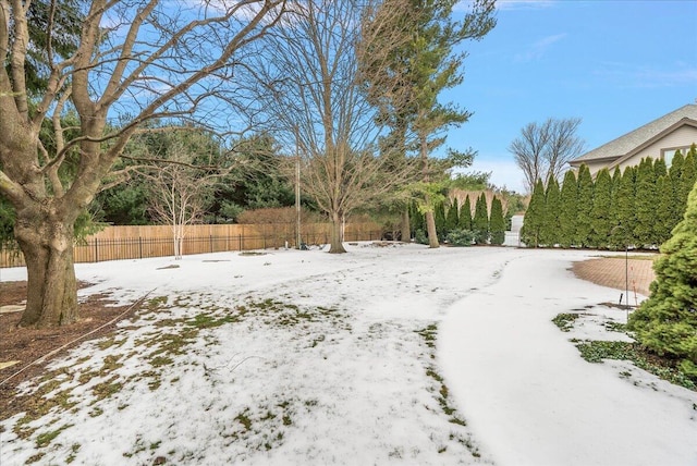 view of yard covered in snow