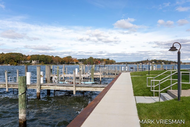 dock area with a water view