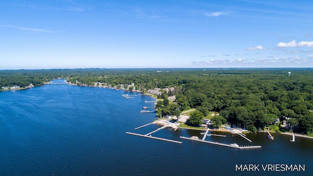 drone / aerial view featuring a water view