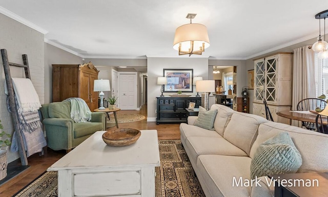 living room with ornamental molding and dark hardwood / wood-style floors