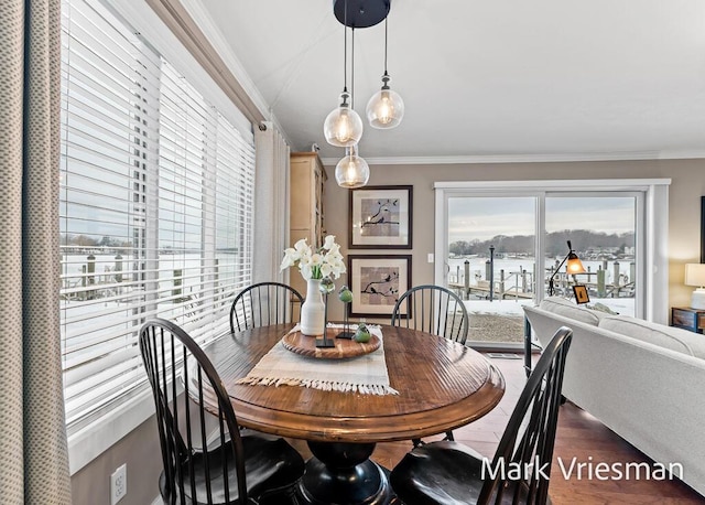 dining space featuring crown molding and dark wood-type flooring