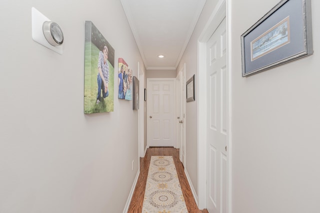 hallway featuring crown molding and hardwood / wood-style floors