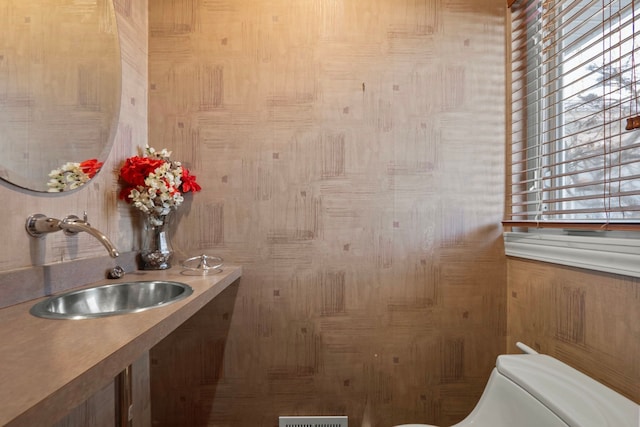 bathroom with plenty of natural light, a sink, and toilet