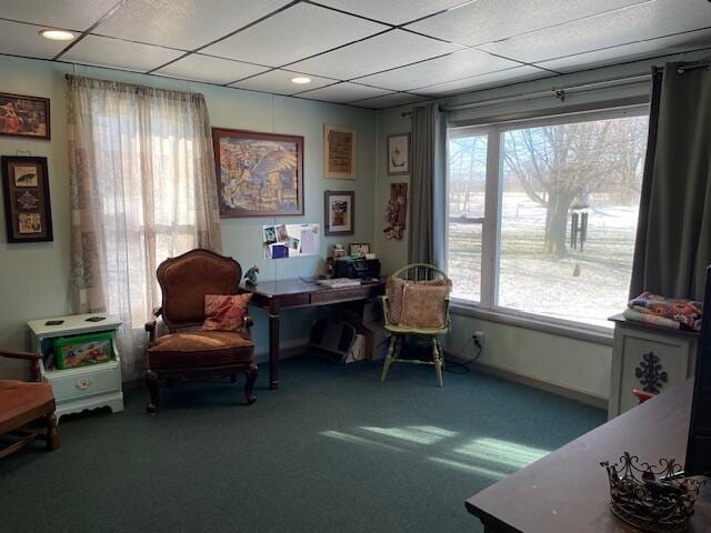 carpeted office featuring a drop ceiling