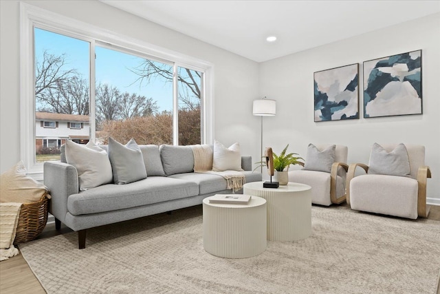 living room featuring wood-type flooring