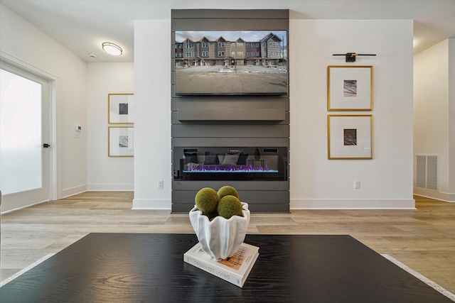 room details with hardwood / wood-style flooring