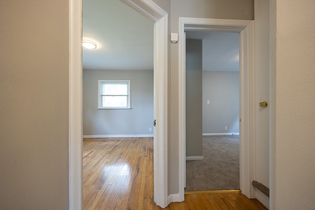 corridor with hardwood / wood-style flooring