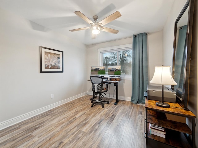 office area featuring ceiling fan and light wood-type flooring