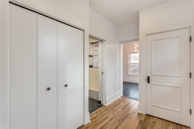 interior space with a closet and light wood-type flooring