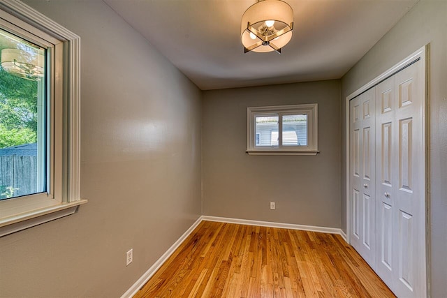 interior space featuring light hardwood / wood-style flooring and a closet