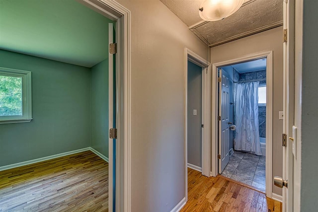 corridor featuring light hardwood / wood-style flooring and a wealth of natural light