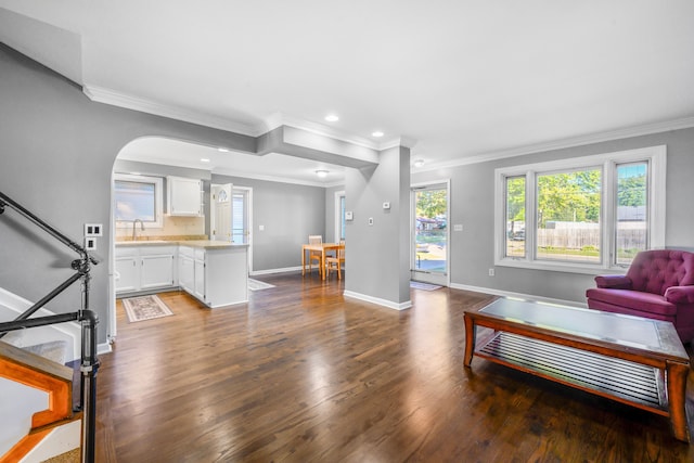 living room with dark hardwood / wood-style flooring and sink