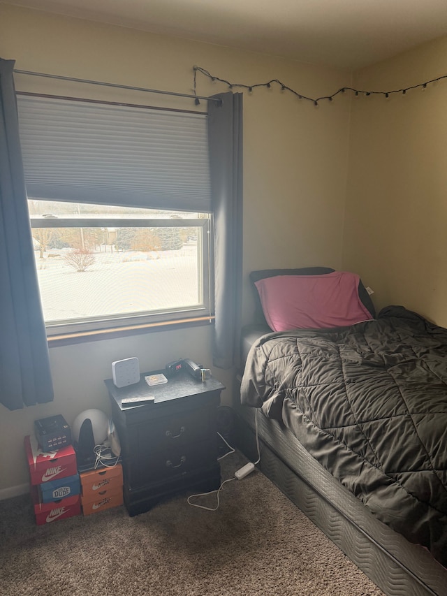 view of carpeted bedroom