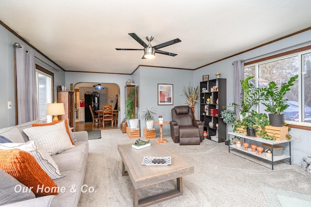 carpeted living room with ceiling fan, crown molding, and a healthy amount of sunlight