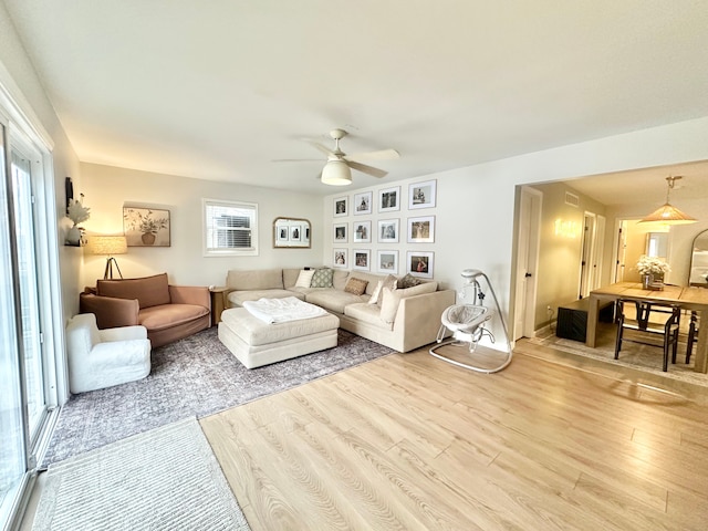 living room featuring ceiling fan and wood-type flooring