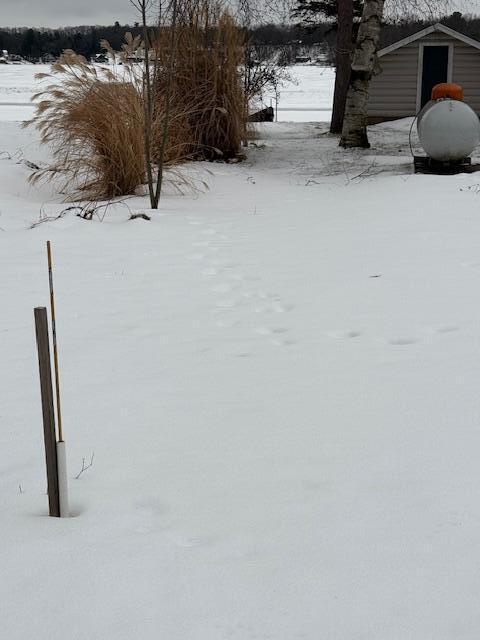 snowy yard with a storage unit