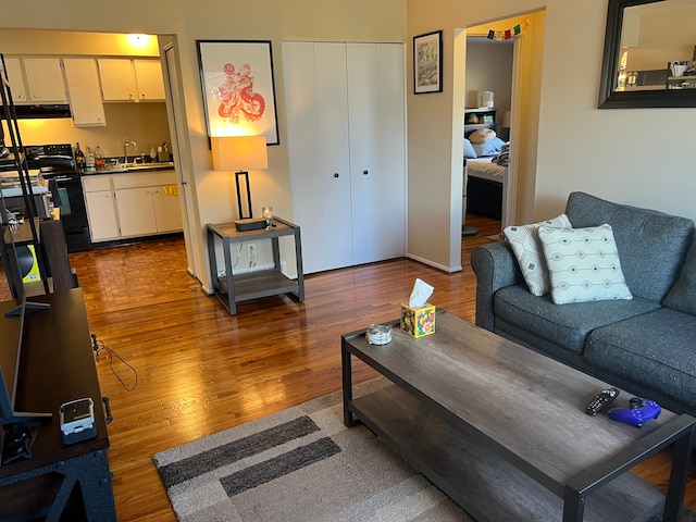 living room with sink and wood-type flooring