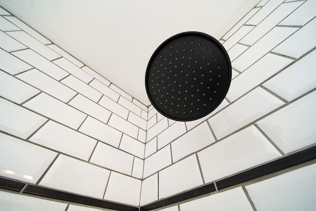 interior details with walk in shower