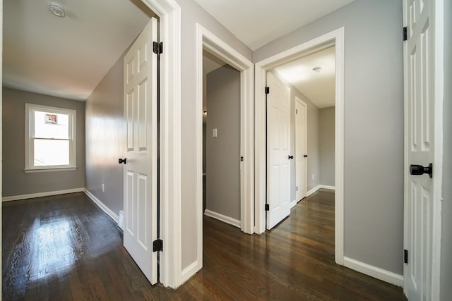 hall with dark hardwood / wood-style floors