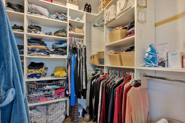 view of walk in closet