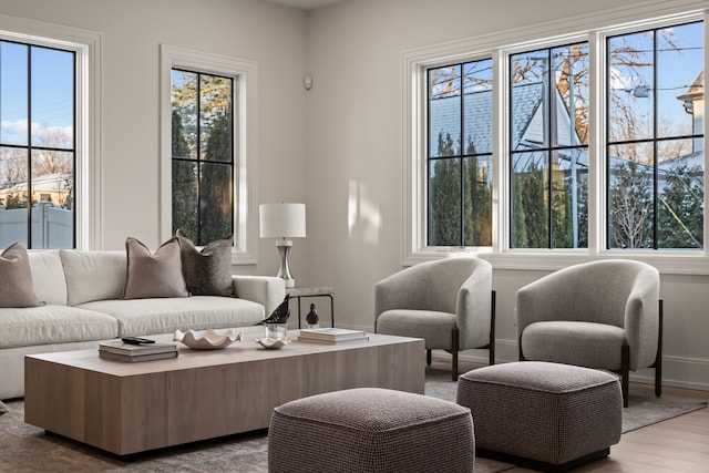 living room featuring hardwood / wood-style flooring and a healthy amount of sunlight