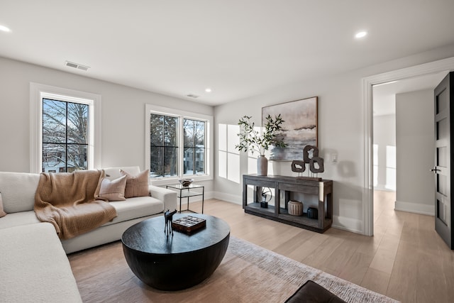 living room featuring a healthy amount of sunlight and light hardwood / wood-style flooring