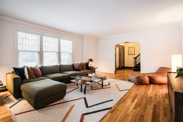 living room featuring hardwood / wood-style floors and ornamental molding