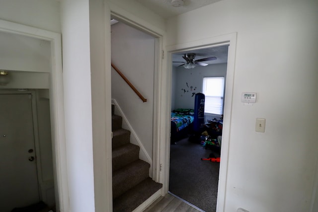 staircase with ceiling fan