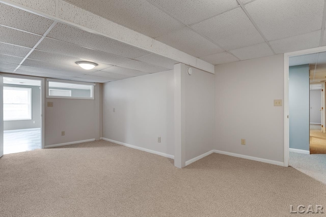 basement featuring carpet floors and a drop ceiling