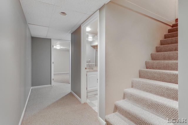 stairs featuring a paneled ceiling, sink, and carpet floors