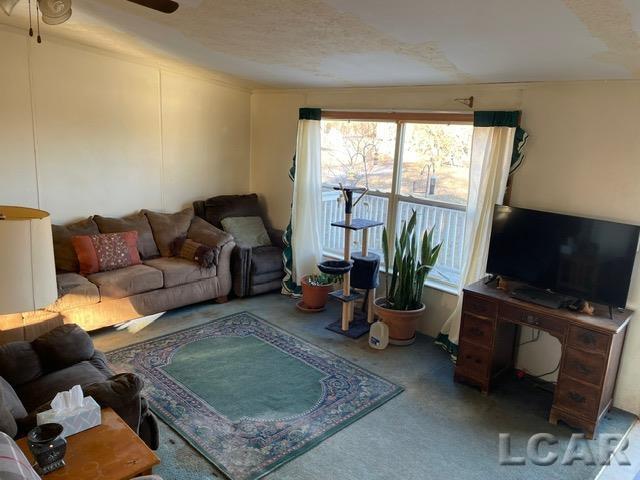 carpeted living room featuring ceiling fan