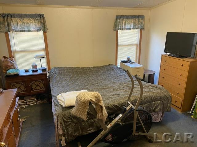 bedroom featuring dark colored carpet