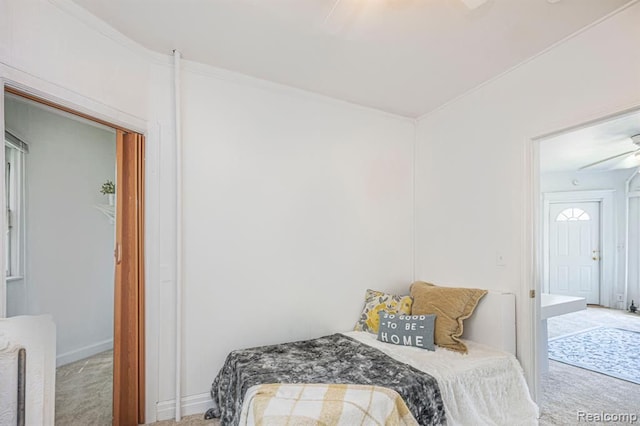 bedroom featuring carpet flooring