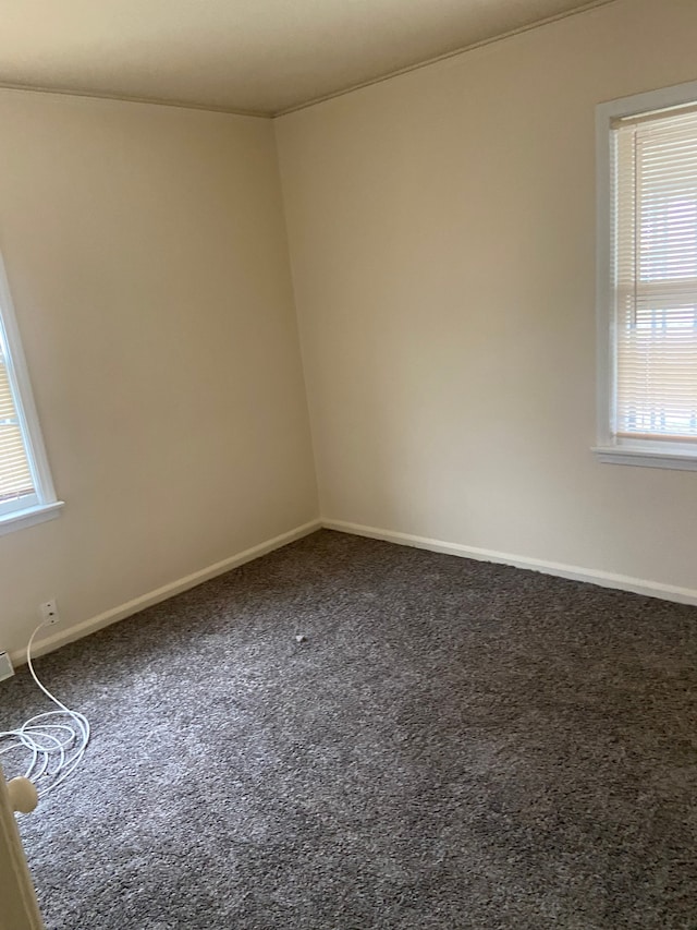 carpeted empty room featuring a wealth of natural light