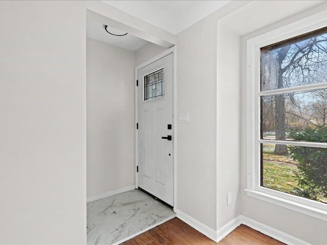 entryway with wood-type flooring