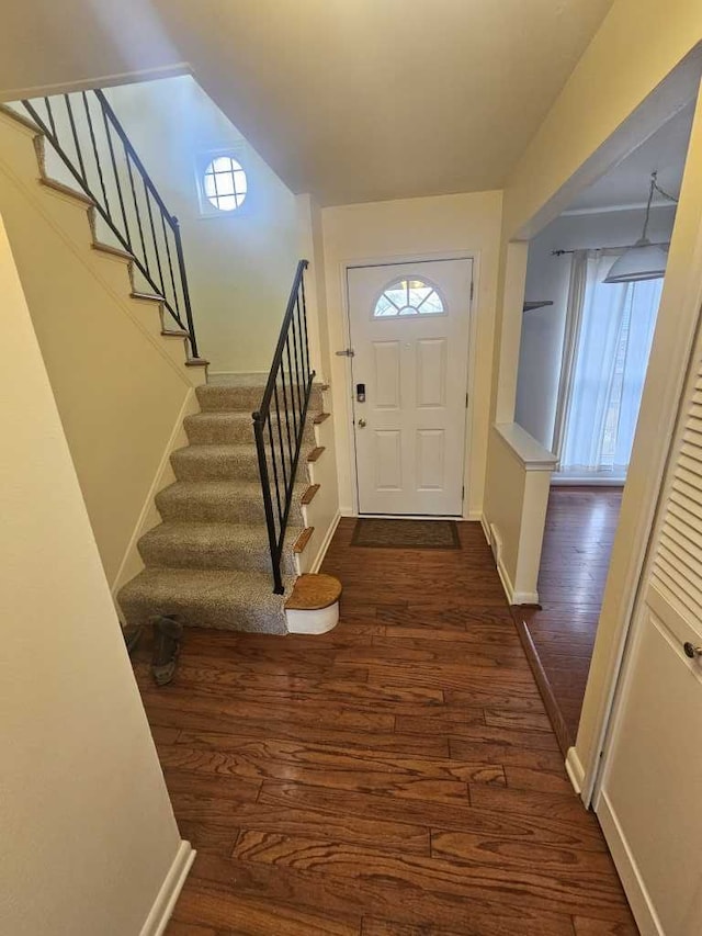 entrance foyer featuring dark wood-type flooring