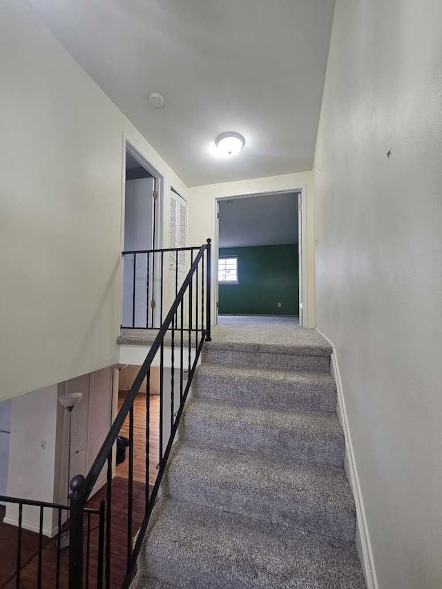 staircase with carpet floors