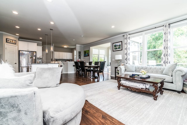 living room with dark wood-type flooring, crown molding, and sink