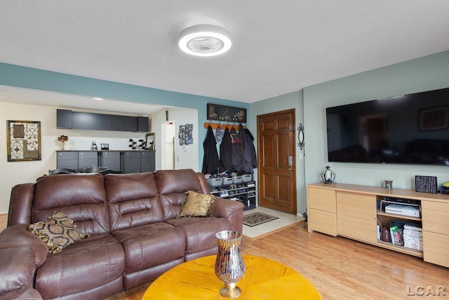 living room with light wood-type flooring